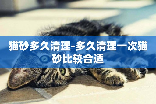 貓砂多久清理-多久清理一次貓砂比較合適