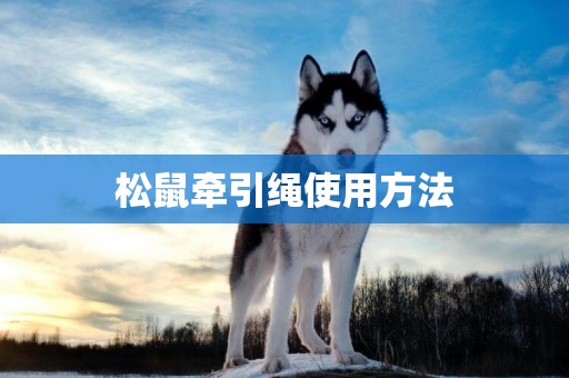 松鼠牽引繩使用方法