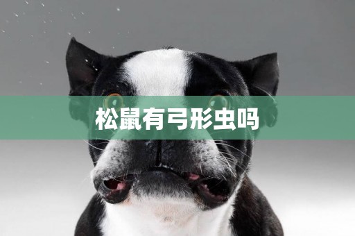松鼠有弓形蟲嗎