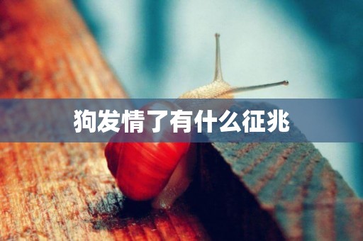 狗發情了有什么征兆
