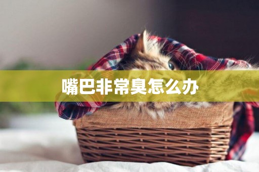 嘴巴非常臭怎么辦