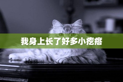 我身上長了好多小疙瘩