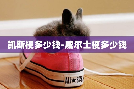 凱斯梗多少錢-威爾士梗多少錢