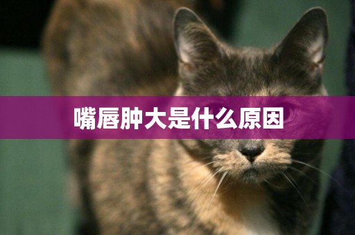 嘴唇腫大是什么原因