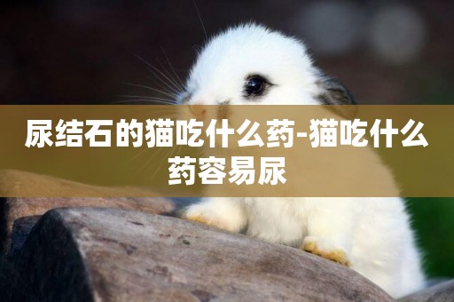 尿結石的貓吃什么藥-貓吃什么藥容易尿
