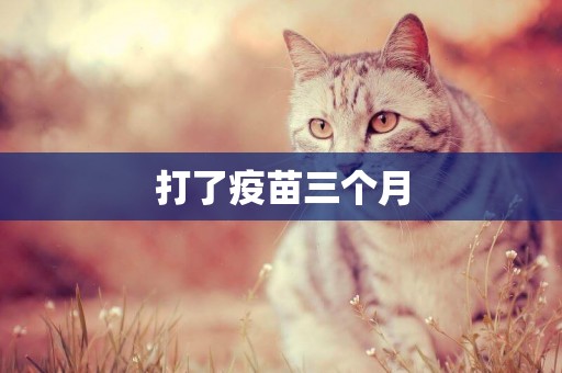 打了疫苗三個月