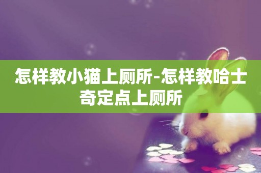 怎樣教小貓上廁所-怎樣教哈士奇定點上廁所