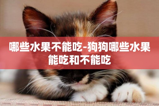 哪些水果不能吃-狗狗哪些水果能吃和不能吃