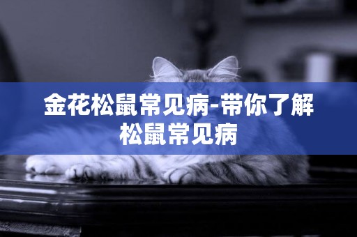 金花松鼠常見病-帶你了解松鼠常見病