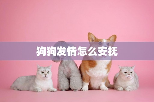 狗狗發情怎么安撫
