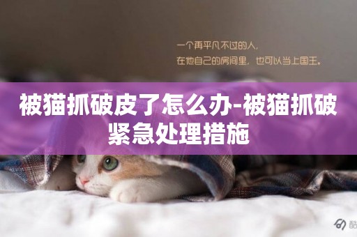 被貓抓破皮了怎么辦-被貓抓破緊急處理措施