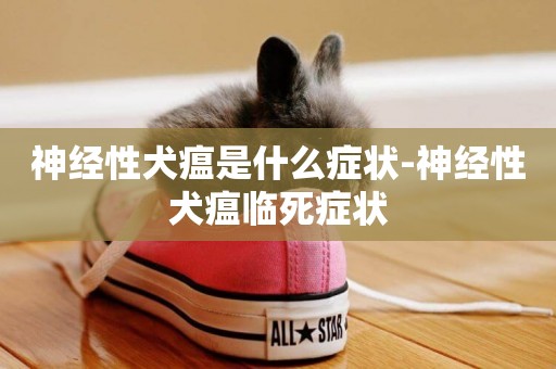 神經性犬瘟是什么癥狀-神經性犬瘟臨死癥狀
