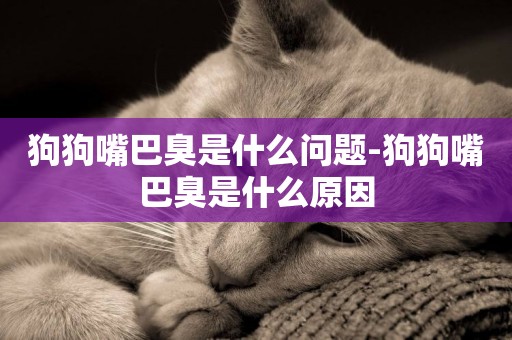 狗狗嘴巴臭是什么問題-狗狗嘴巴臭是什么原因