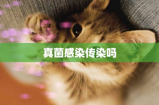真菌感染傳染嗎
