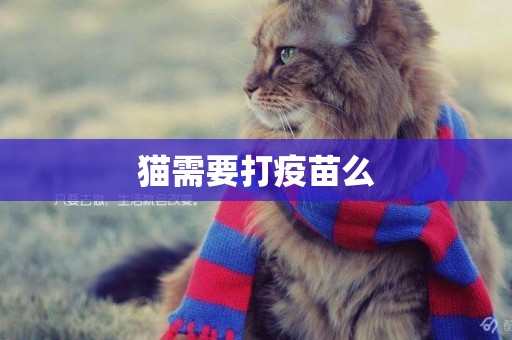 貓需要打疫苗么