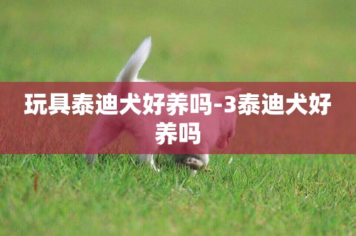 玩具泰迪犬好養嗎-3泰迪犬好養嗎