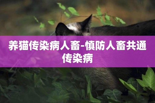 養貓傳染病人畜-慎防人畜共通傳染病