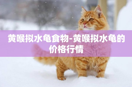 黃喉擬水龜食物-黃喉擬水龜的價格行情