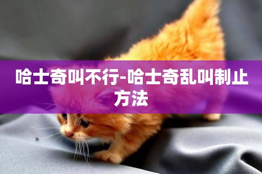 哈士奇叫不行-哈士奇亂叫制止方法