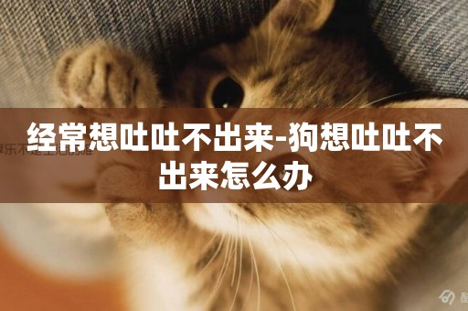 經常想吐吐不出來-狗想吐吐不出來怎么辦