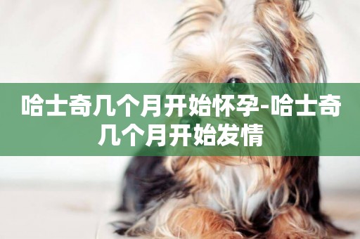 哈士奇幾個月開始懷孕-哈士奇幾個月開始發情
