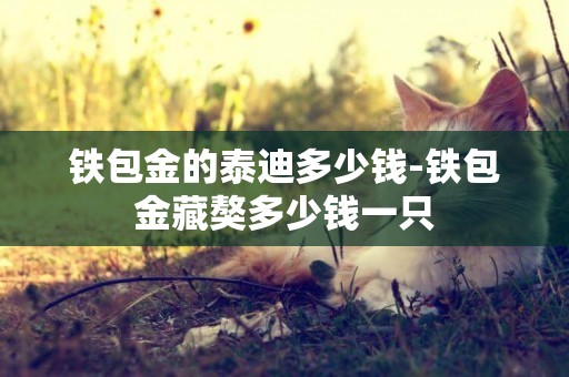 鐵包金的泰迪多少錢-鐵包金藏獒多少錢一只