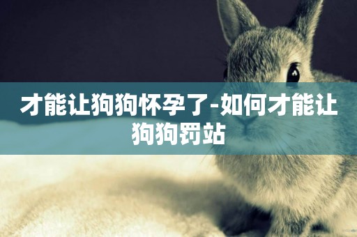 才能讓狗狗懷孕了-如何才能讓狗狗罰站