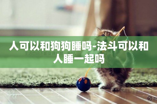 人可以和狗狗睡嗎-法斗可以和人睡一起嗎
