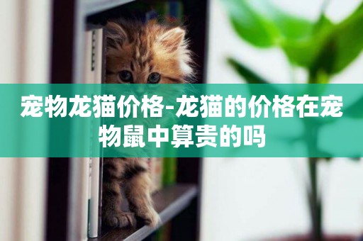 寵物龍貓價格-龍貓的價格在寵物鼠中算貴的嗎