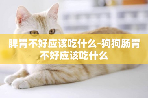 脾胃不好應該吃什么-狗狗腸胃不好應該吃什么