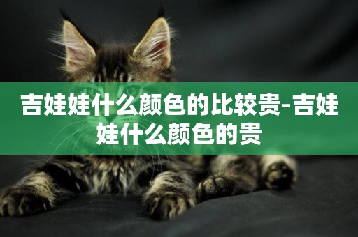 吉娃娃什么顏色的比較貴-吉娃娃什么顏色的貴