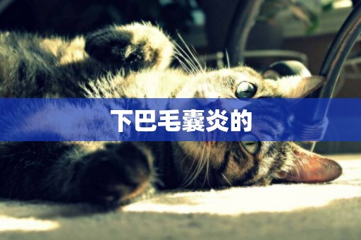 下巴毛囊炎的