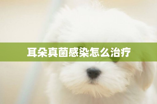 耳朵真菌感染怎么治療
