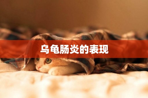 烏龜腸炎的表現