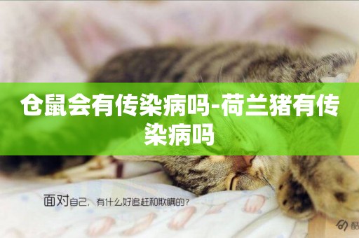 倉鼠會有傳染病嗎-荷蘭豬有傳染病嗎