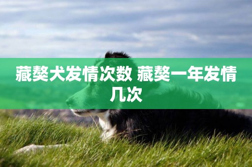 藏獒犬發情次數 藏獒一年發情幾次