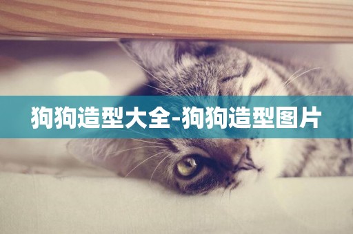 狗狗造型大全-狗狗造型圖片