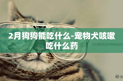 2月狗狗能吃什么-寵物犬咳嗽吃什么藥