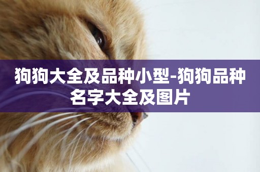 狗狗大全及品種小型-狗狗品種名字大全及圖片