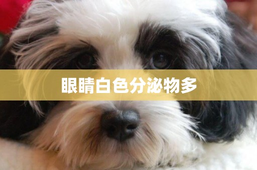 眼睛白色分泌物多