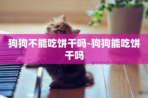 狗狗不能吃餅干嗎-狗狗能吃餅干嗎