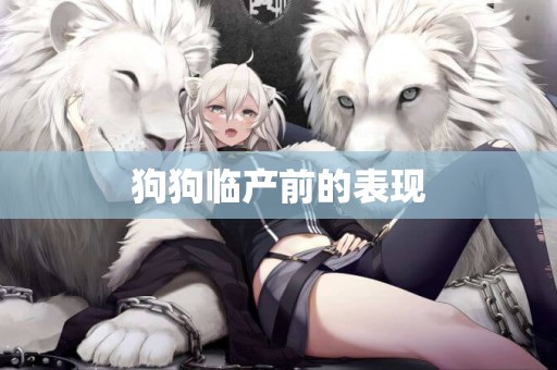 狗狗臨產前的表現 狗狗臨產前的表現