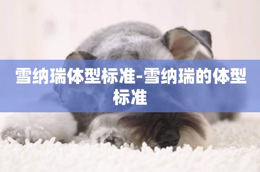 雪納瑞體型標準-雪納瑞的體型標準