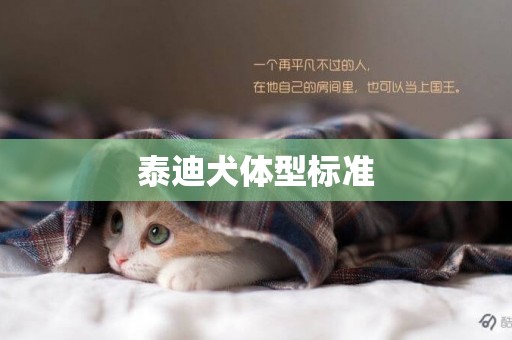泰迪犬體型標準