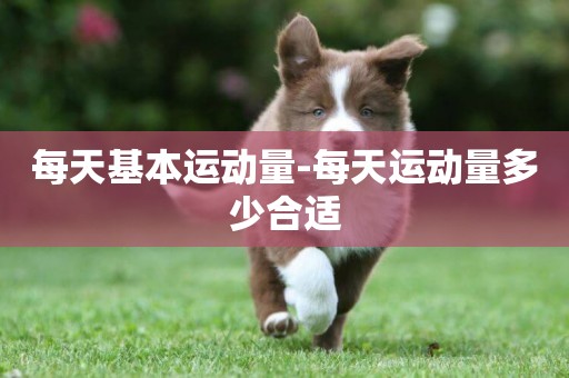 每天基本運動量-每天運動量多少合適