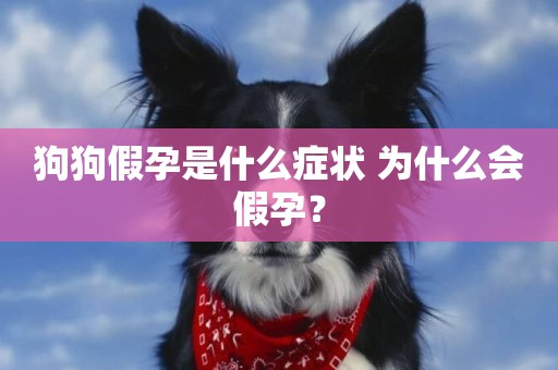狗狗假孕是什么癥狀 為什么會假孕？