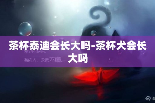 茶杯泰迪會長大嗎-茶杯犬會長大嗎
