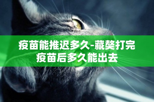 疫苗能推遲多久-藏獒打完疫苗后多久能出去