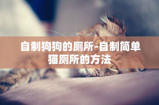 自制狗狗的廁所-自制簡單貓廁所的方法