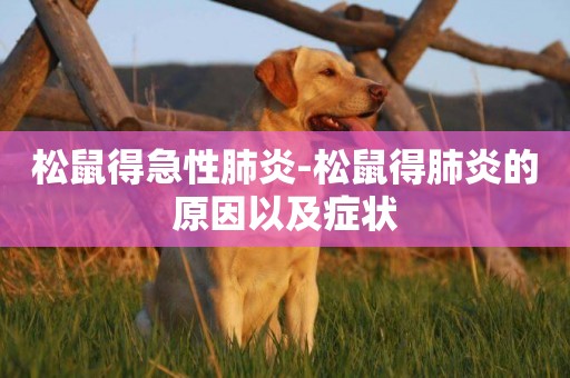 松鼠得急性肺炎-松鼠得肺炎的原因以及癥狀